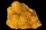 Sunshine Cactus Quartz Crystal - South Africa #98386-1